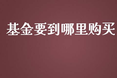 基金要到哪里购买_https://wap.jnbaishite.cn_期货资讯_第1张