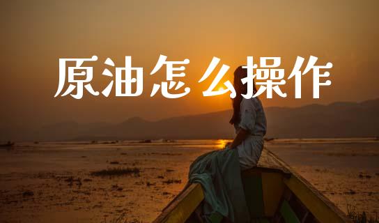 原油怎么操作_https://wap.jnbaishite.cn_期货资讯_第1张