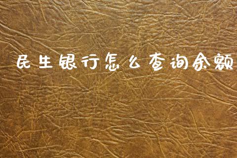 民生银行怎么查询余额_https://wap.jnbaishite.cn_理财投资_第1张