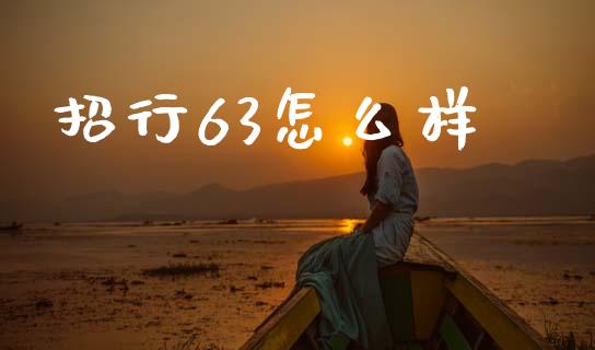 招行63怎么样_https://wap.jnbaishite.cn_理财投资_第1张