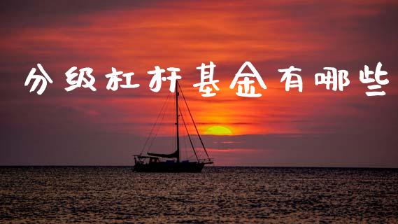 分级杠杆基金有哪些_https://wap.jnbaishite.cn_金融资讯_第1张