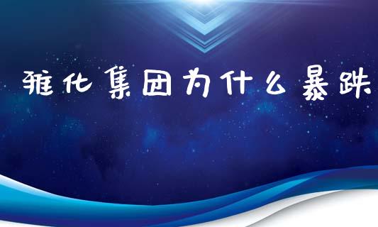 雅化集团为什么暴跌_https://wap.jnbaishite.cn_全球财富_第1张