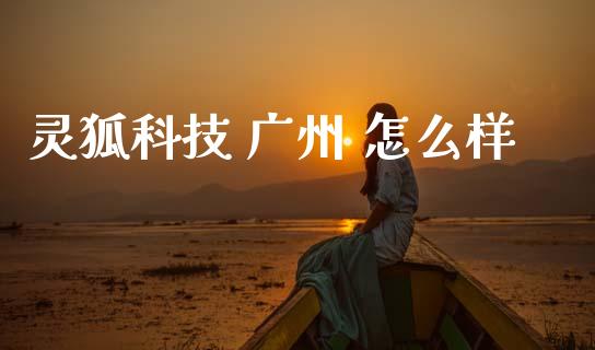 灵狐科技 广州 怎么样_https://wap.jnbaishite.cn_金融资讯_第1张