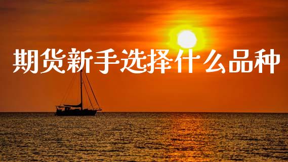 期货新手选择什么品种_https://wap.jnbaishite.cn_全球财富_第1张