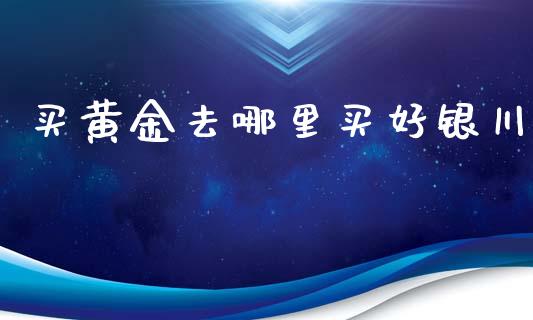 买黄金去哪里买好银川_https://wap.jnbaishite.cn_金融资讯_第1张