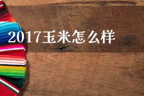 2017玉米怎么样_https://wap.jnbaishite.cn_金融资讯_第1张