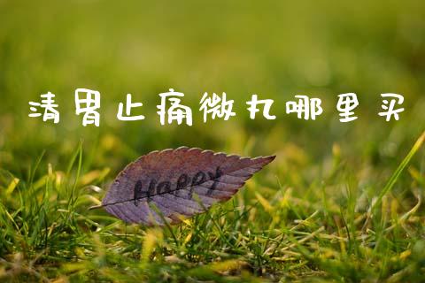 清胃止痛微丸哪里买_https://wap.jnbaishite.cn_金融资讯_第1张
