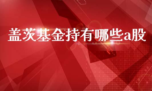 盖茨基金持有哪些a股_https://wap.jnbaishite.cn_全球财富_第1张