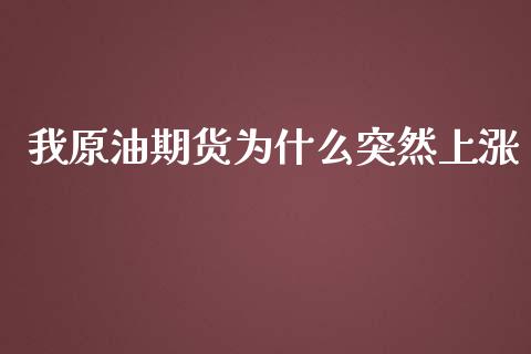 我原油期货为什么突然上涨_https://wap.jnbaishite.cn_理财投资_第1张