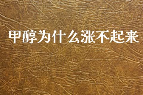 甲醇为什么涨不起来_https://wap.jnbaishite.cn_全球财富_第1张