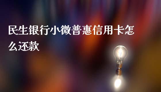 民生银行小微普惠信用卡怎么还款_https://wap.jnbaishite.cn_全球财富_第1张