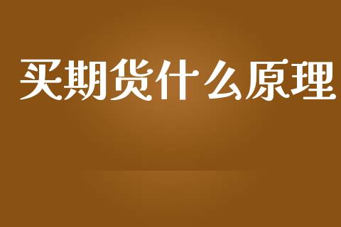 买期货什么原理_https://wap.jnbaishite.cn_全球财富_第1张