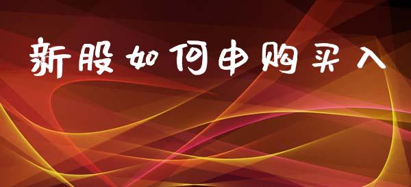 新股如何申购买入_https://wap.jnbaishite.cn_理财投资_第1张