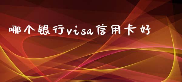 哪个银行visa信用卡好_https://wap.jnbaishite.cn_全球财富_第1张