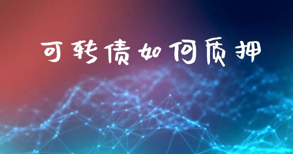 可转债如何质押_https://wap.jnbaishite.cn_全球财富_第1张