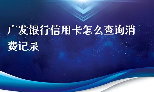 广发银行信用卡怎么查询消费记录_https://wap.jnbaishite.cn_理财投资_第1张