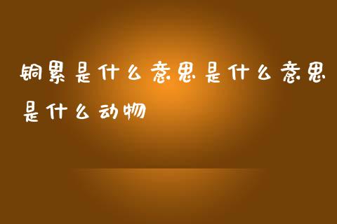铜累是什么意思是什么意思是什么动物_https://wap.jnbaishite.cn_期货资讯_第1张