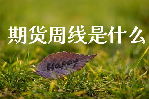 期货周线是什么_https://wap.jnbaishite.cn_全球财富_第1张