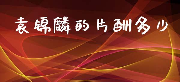 袁锦麟的片酬多少_https://wap.jnbaishite.cn_金融资讯_第1张