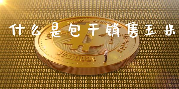 什么是包干销售玉米_https://wap.jnbaishite.cn_金融资讯_第1张