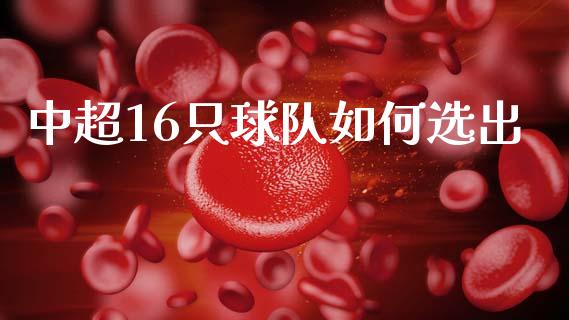 中超16只球队如何选出_https://wap.jnbaishite.cn_理财投资_第1张