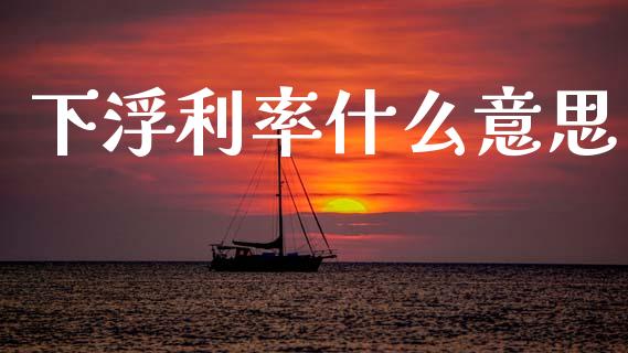 下浮利率什么意思_https://wap.jnbaishite.cn_理财投资_第1张