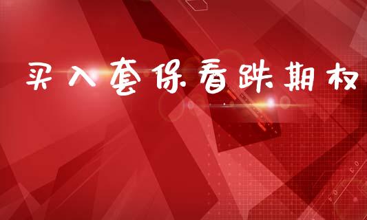 买入套保看跌期权_https://wap.jnbaishite.cn_金融资讯_第1张