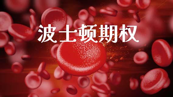 波士顿期权_https://wap.jnbaishite.cn_理财投资_第1张