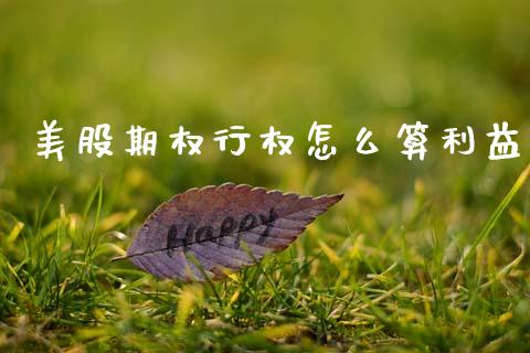美股期权行权怎么算利益_https://wap.jnbaishite.cn_全球财富_第1张