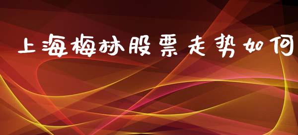 上海梅林股票走势如何_https://wap.jnbaishite.cn_理财投资_第1张
