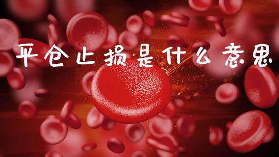 平仓止损是什么意思_https://wap.jnbaishite.cn_期货资讯_第1张