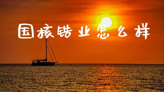 国核锆业怎么样_https://wap.jnbaishite.cn_全球财富_第1张