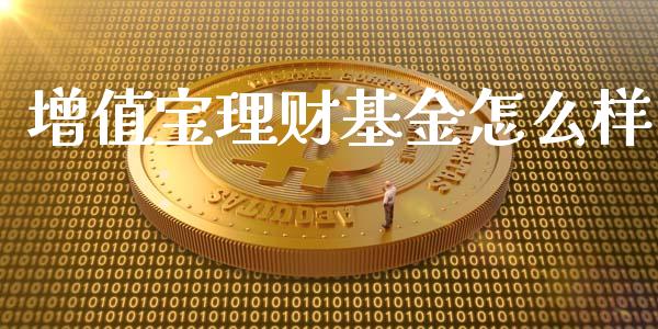 增值宝理财基金怎么样_全球财富_第1张_全球财富_理财投资_金融资讯_期货资讯 增值宝理财基金怎么样_https://wap.jnbaishite.cn_全球财富_第1张