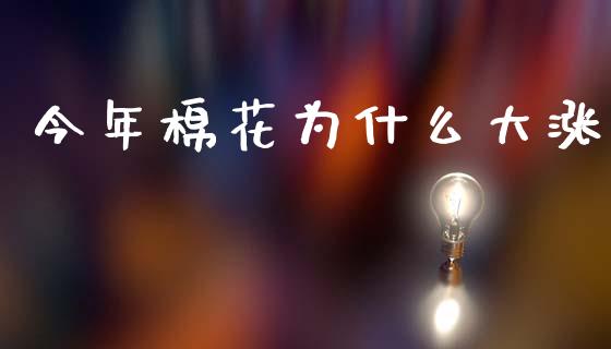 今年棉花为什么大涨_https://wap.jnbaishite.cn_期货资讯_第1张