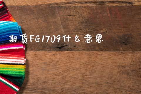 期货FG1709什么意思_https://wap.jnbaishite.cn_金融资讯_第1张