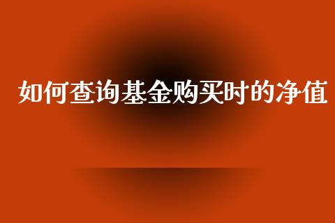 如何查询基金购买时的净值_https://wap.jnbaishite.cn_期货资讯_第1张