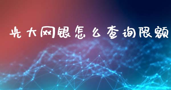 光大网银怎么查询限额_https://wap.jnbaishite.cn_全球财富_第1张