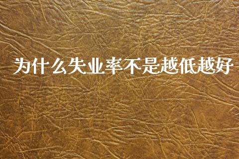 为什么失业率不是越低越好_https://wap.jnbaishite.cn_金融资讯_第1张