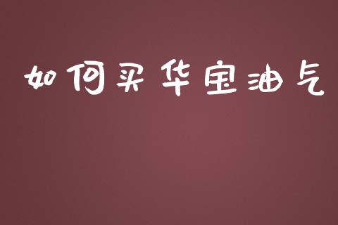 如何买华宝油气_https://wap.jnbaishite.cn_金融资讯_第1张