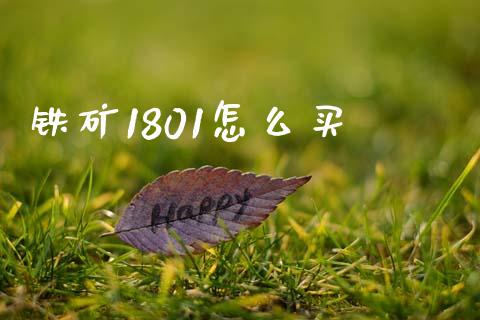 铁矿1801怎么买_https://wap.jnbaishite.cn_金融资讯_第1张