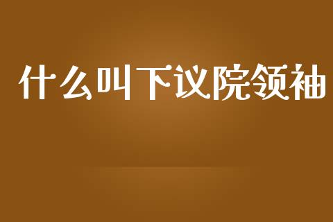 什么叫下议院领袖_https://wap.jnbaishite.cn_期货资讯_第1张