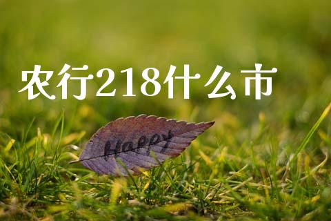 农行218什么市_https://wap.jnbaishite.cn_金融资讯_第1张