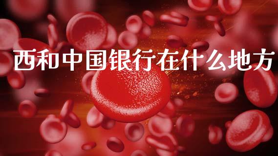 西和中国银行在什么地方_https://wap.jnbaishite.cn_金融资讯_第1张