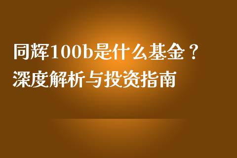同辉100b是什么基金？深度解析与投资指南_https://wap.jnbaishite.cn_理财投资_第1张