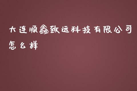 大连顺鑫致远科技有限公司怎么样_https://wap.jnbaishite.cn_期货资讯_第1张