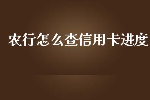 农行怎么查信用卡进度_https://wap.jnbaishite.cn_期货资讯_第1张