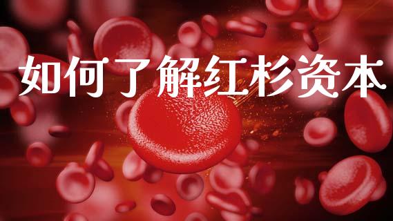 如何了解红杉资本_https://wap.jnbaishite.cn_理财投资_第1张