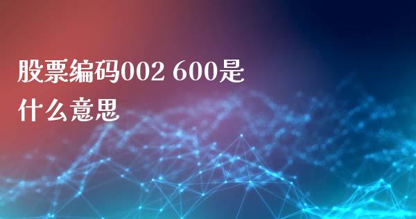 股票编码002 600是什么意思_https://wap.jnbaishite.cn_金融资讯_第1张