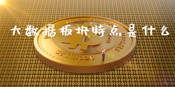 大数据板块特点是什么_https://wap.jnbaishite.cn_期货资讯_第1张