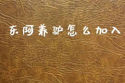 东阿养驴怎么加入_https://wap.jnbaishite.cn_金融资讯_第1张
